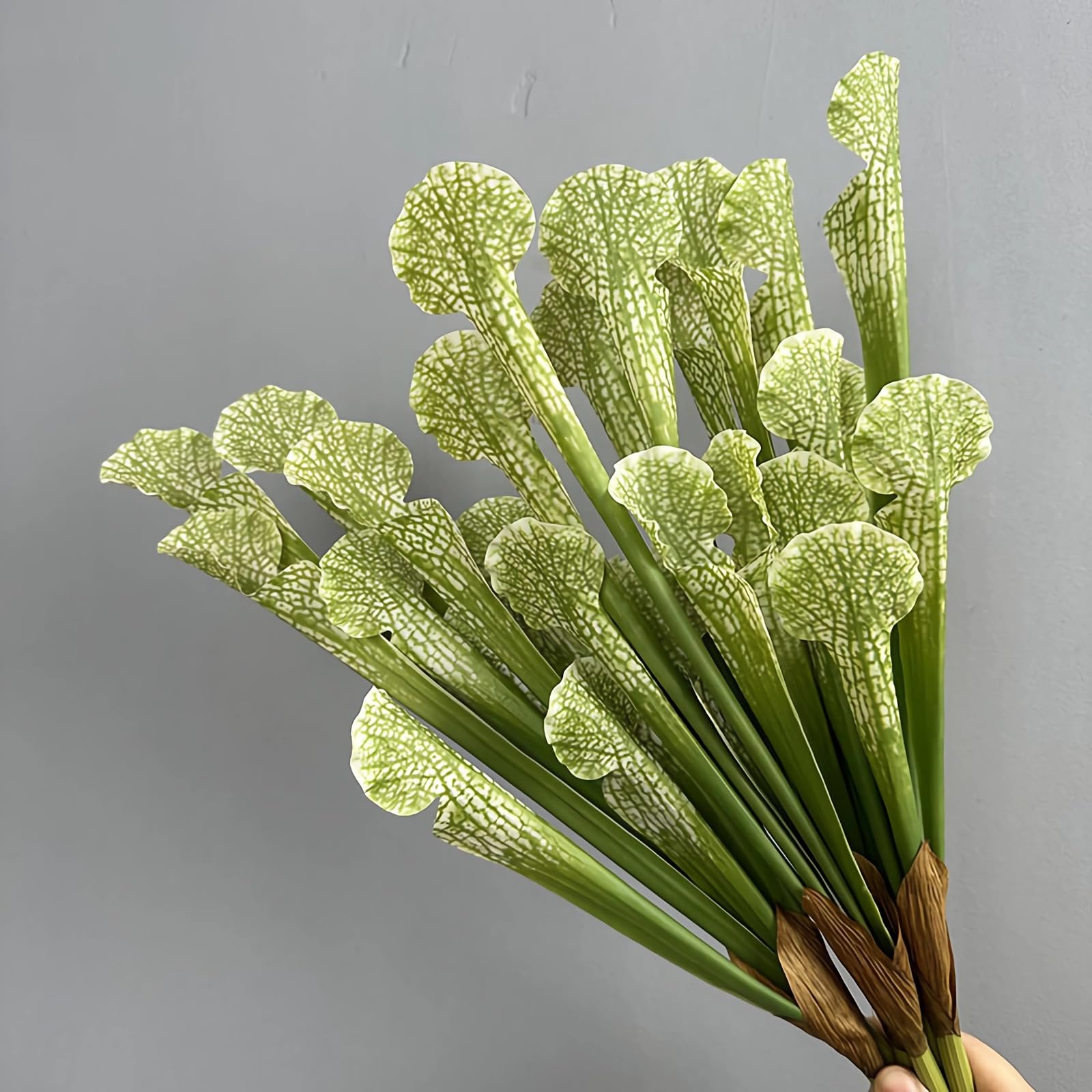 サラセニア kurichan Amazon｜AtHomeYuyue 5個 17.5インチ 人工 肉食ピッチャー グリーン